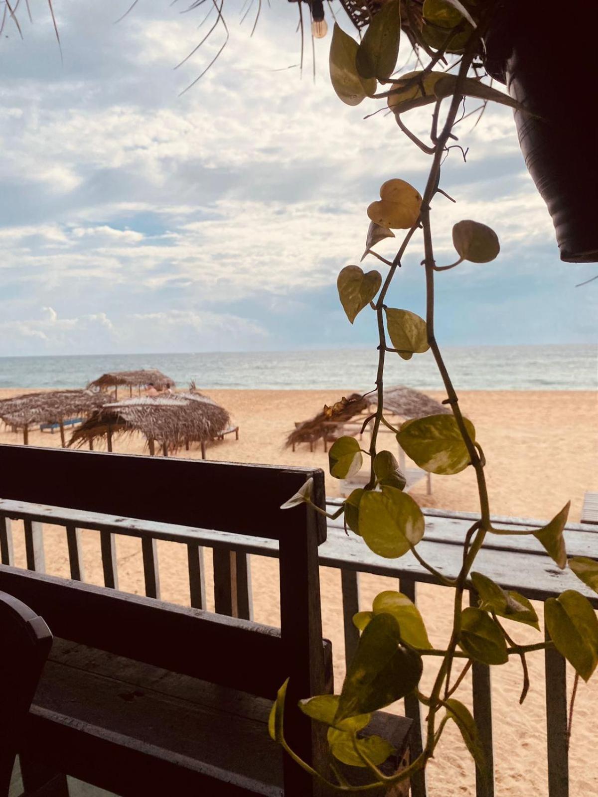 Sea Shine Guest House Hikkaduwa Exteriör bild